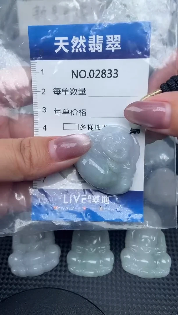 颈饰未镶嵌翡翠纯天然A货翡翠2833