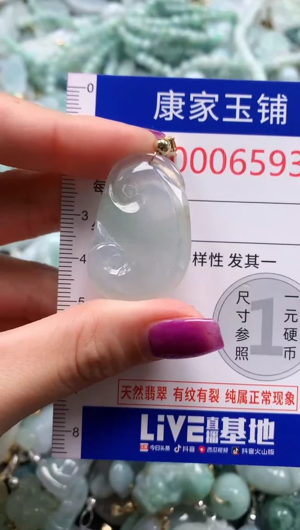颈饰未镶嵌翡翠6593