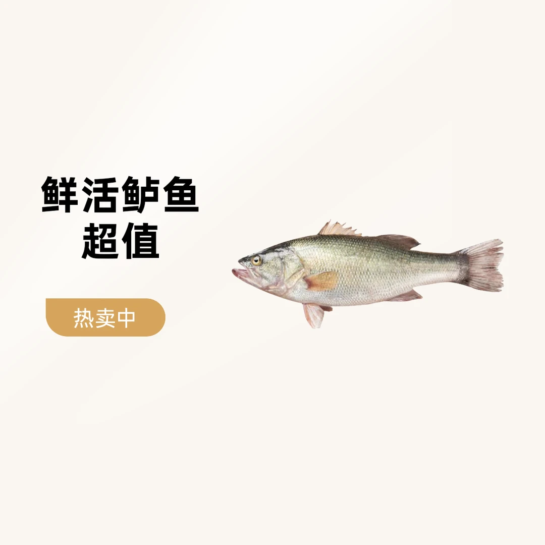 新鲜净膛鲈鱼1条净膛前约400g±100g