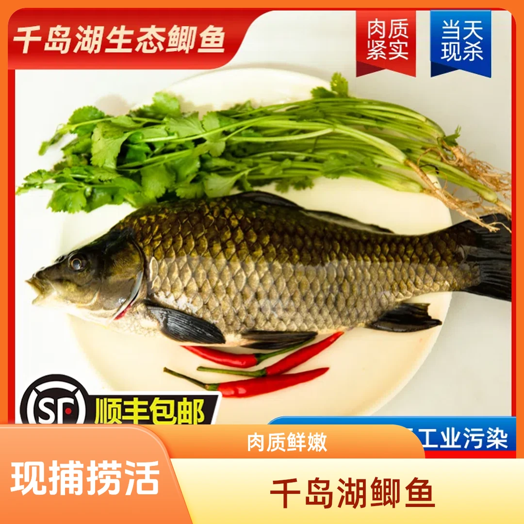 【包活到家】正宗千岛湖生态大黄金鲫鱼 3斤、4斤、5斤/条  肉质鲜嫩现捕捞活鱼  顺丰/京东快递送货上门