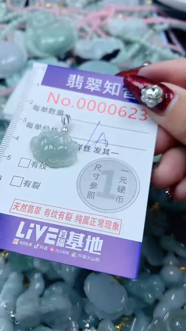 颈饰未镶嵌翡翠623