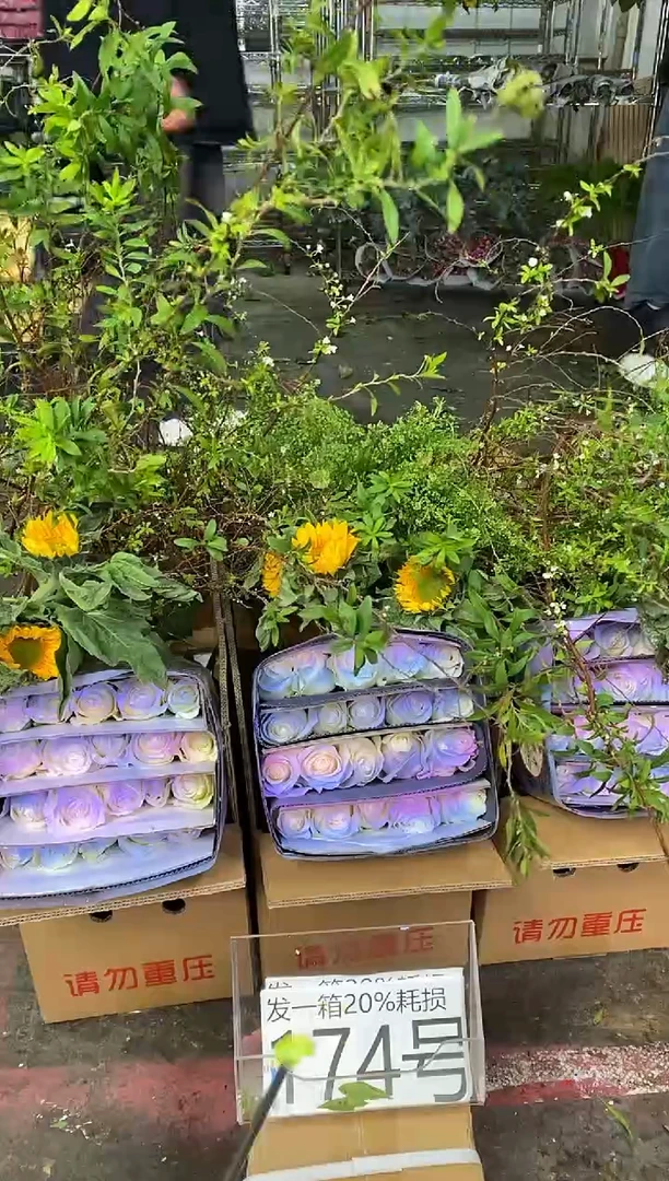 174号♥含20%耗损发一箱