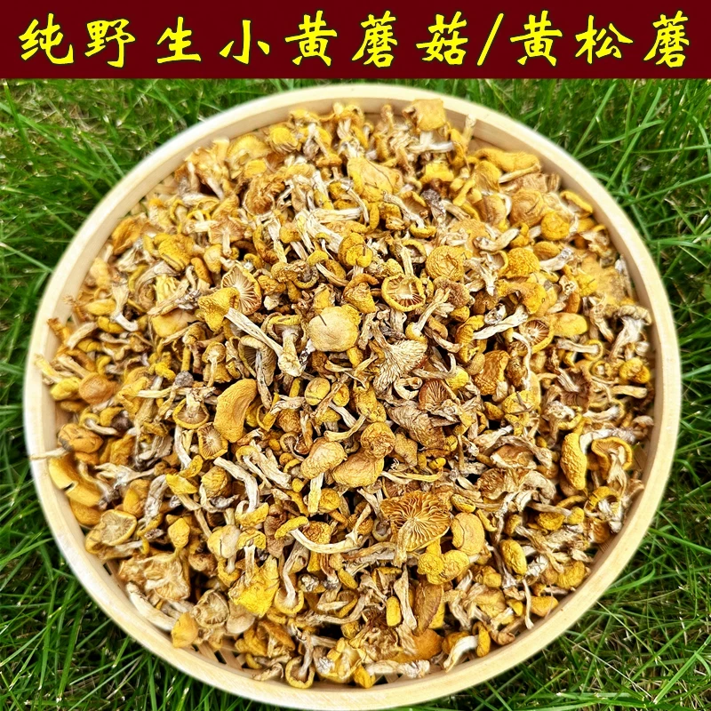 长白山野生小黄蘑菇干货嫩滑口感煲汤炖菜佳品
