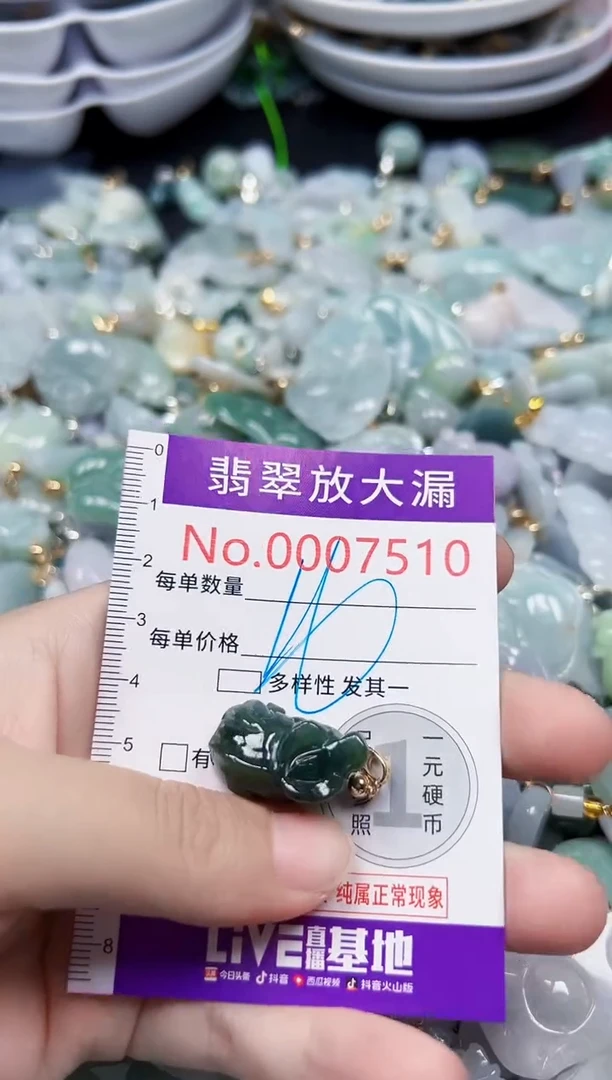 颈饰未镶嵌翡翠7510