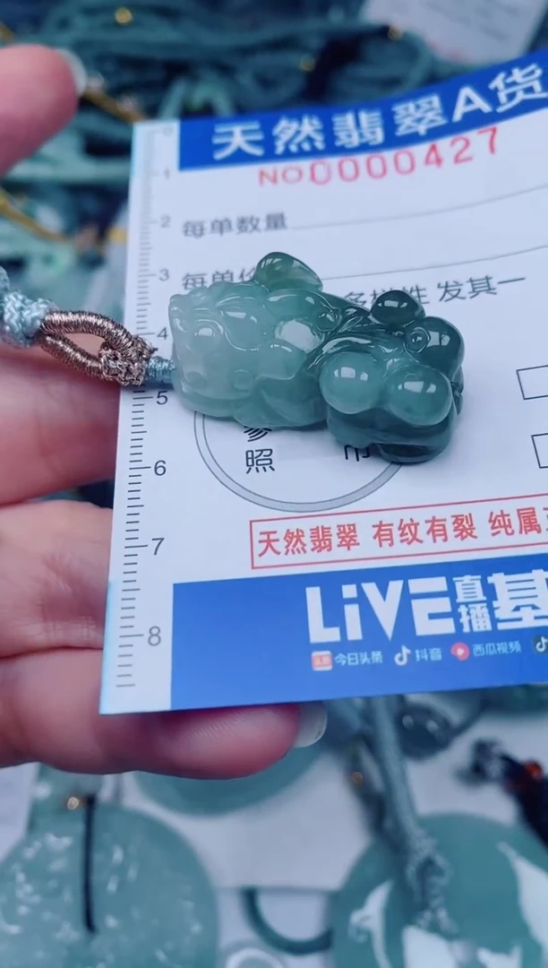 颈饰未镶嵌翡翠00000427