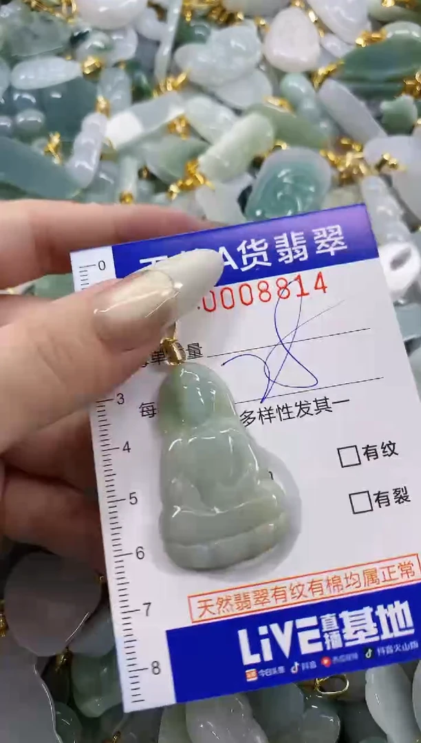 颈饰未镶嵌翡翠天然A货翡翠