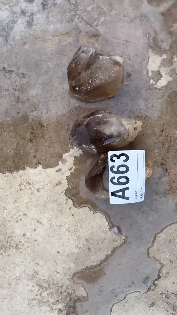 【闪购商品】水晶摆件未镶嵌茶水晶 663