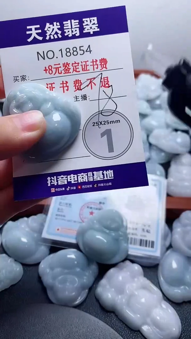 翡翠未镶嵌颈饰845