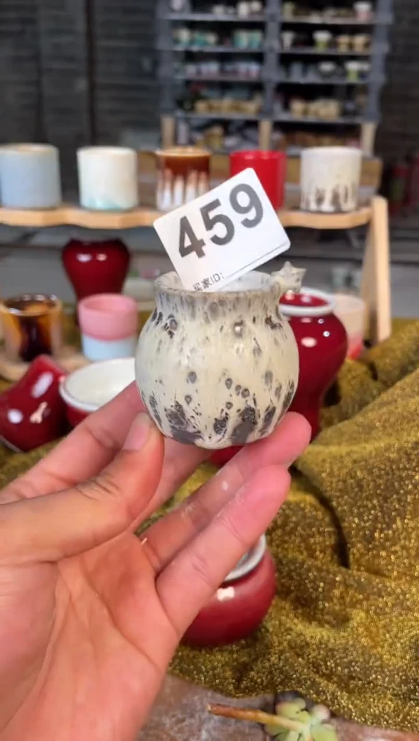 【闪购商品】摆件459小芳直播编号