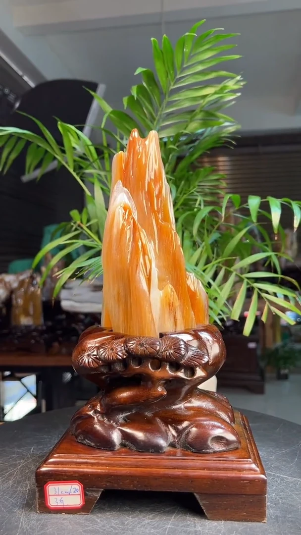 未镶嵌硅化玉（树化玉）珠宝奇石霍*河1016