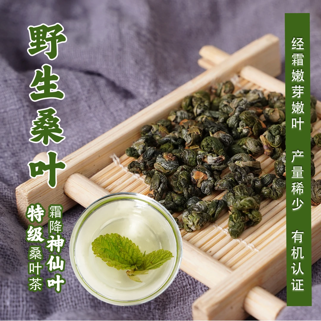 有机霜桑叶茶 野生桑叶茶 嫩芽嫩叶成叶