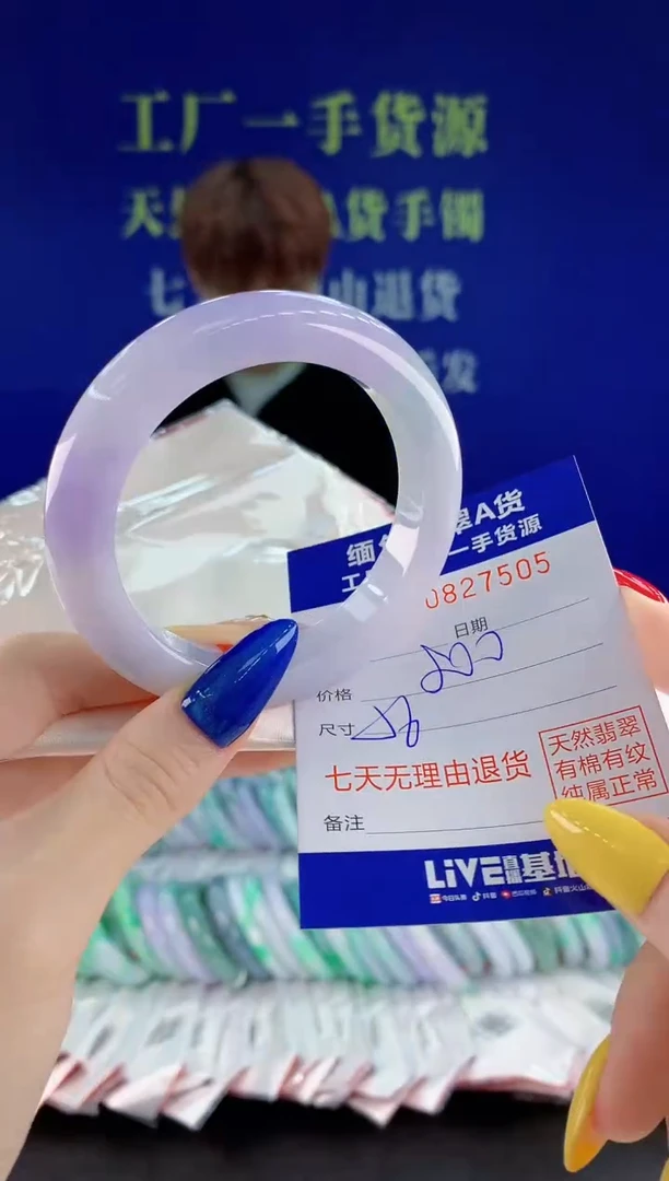 未镶嵌手镯翡翠05