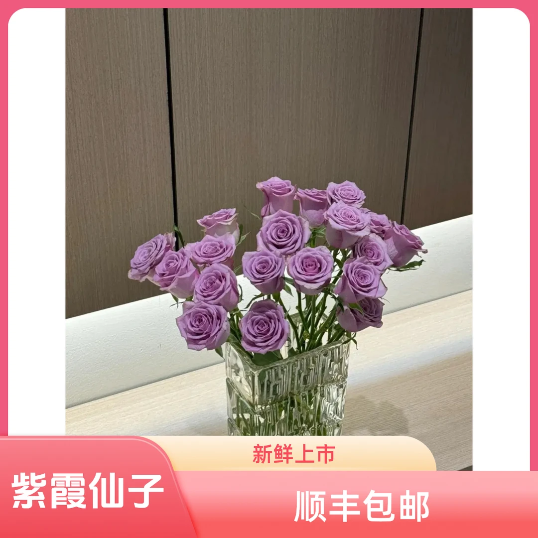 【鲜花次日达】10支紫霞仙子32块8