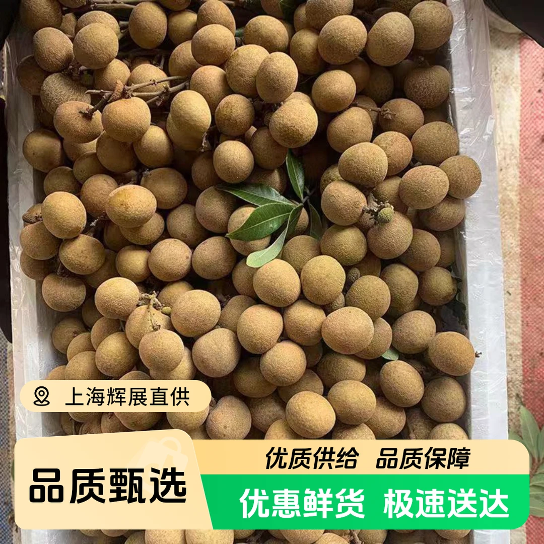 【正宗储良龙眼】新鲜龙眼石硖储良老树桂圆鲜甜新鲜水果当季整箱顺丰包邮