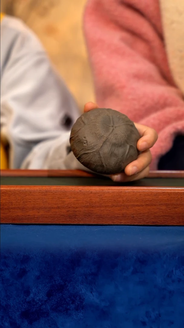 宜兴紫砂 紫砂茶壶  莲蓬