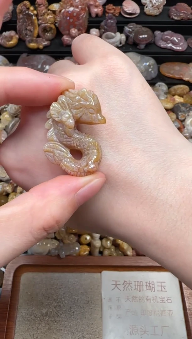 颈饰未镶嵌硅化珊瑚（珊瑚玉）183