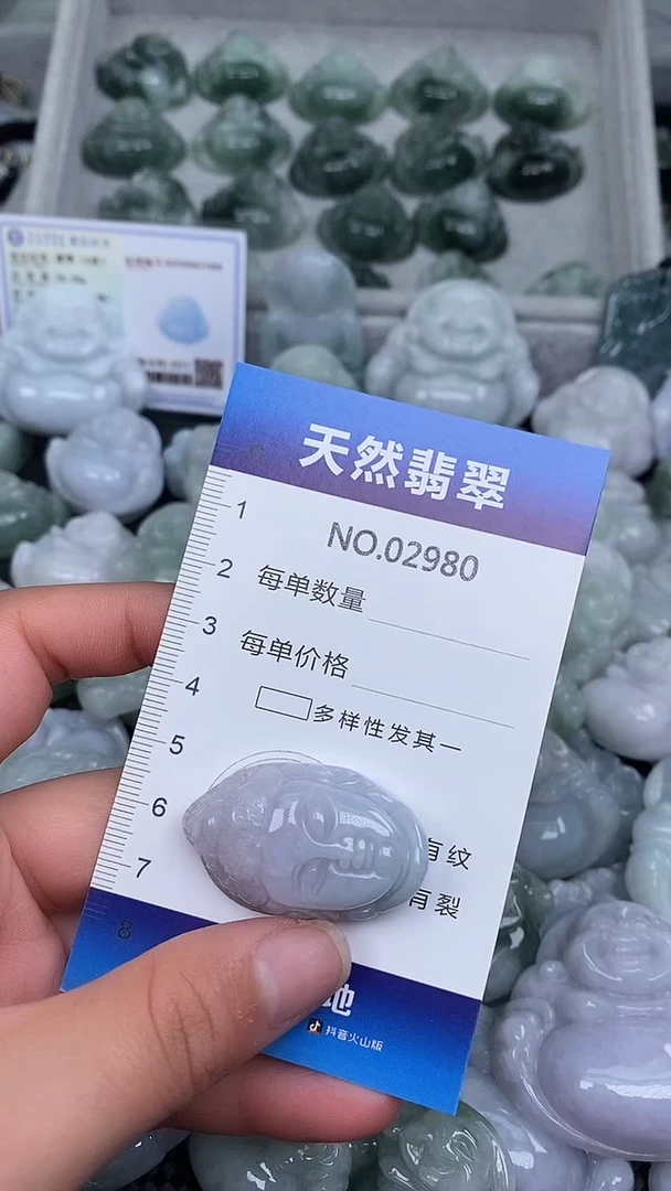 颈饰未镶嵌翡翠纯天然A货翡翠2980