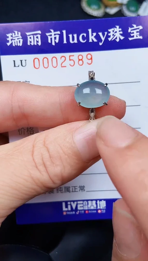 翡翠银S925镶嵌颈饰2589