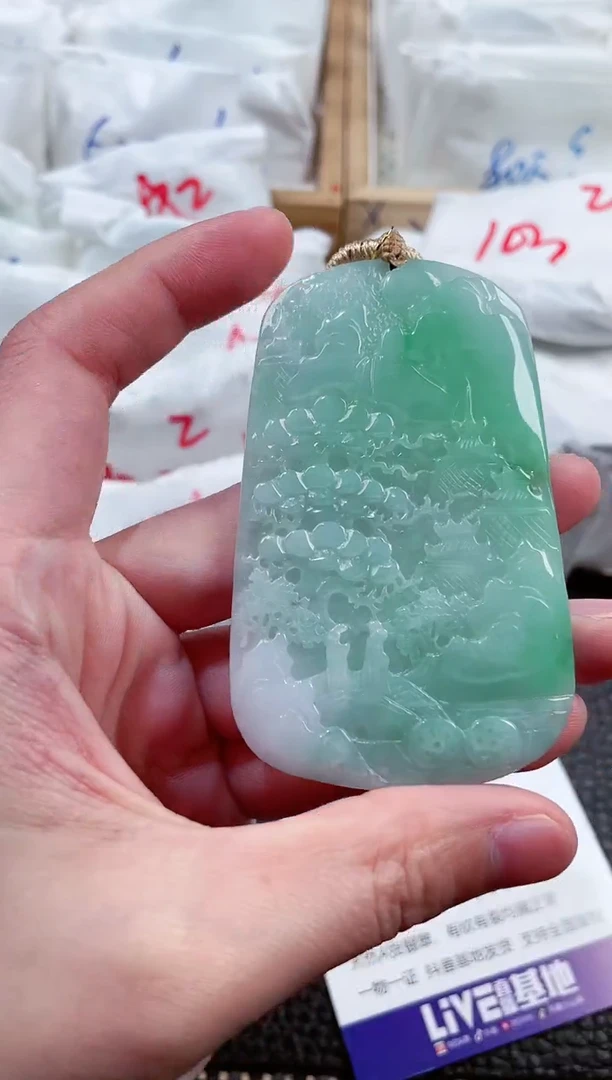 【闪购商品】翡翠颈饰未镶嵌00007170