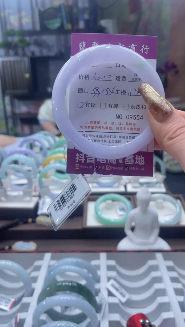 未镶嵌手镯翡翠9554****