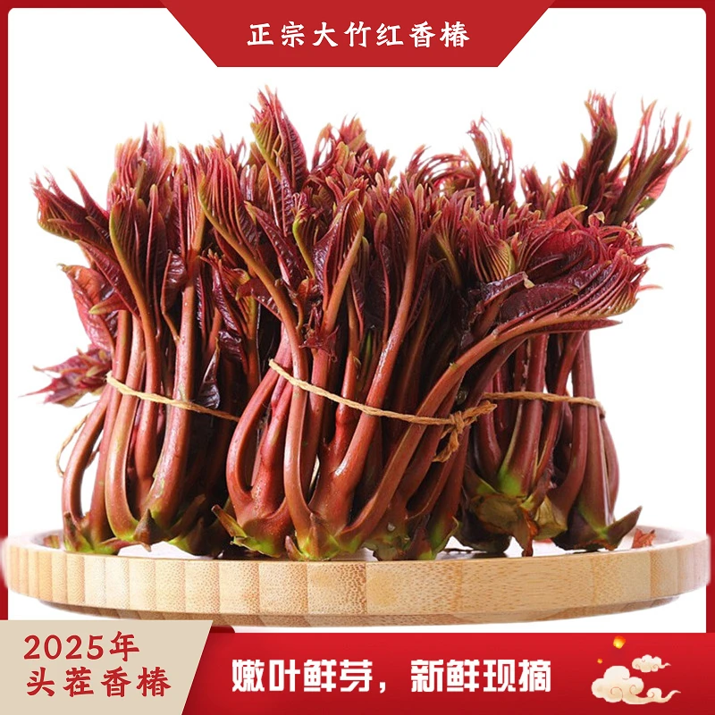 ［顺丰京东包邮！］正宗红油香椿2025新货香椿芽特产原产地现摘现发