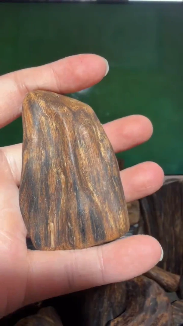 沉香吊坠芽庄多样性发一
