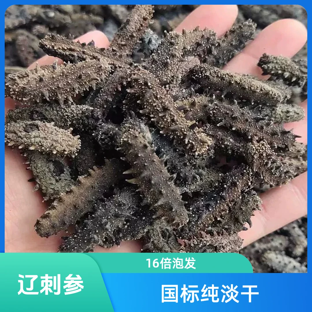 头茬春参大连蚂蚁岛国标一级纯淡干无盐海参50-80头泡发15-16斤