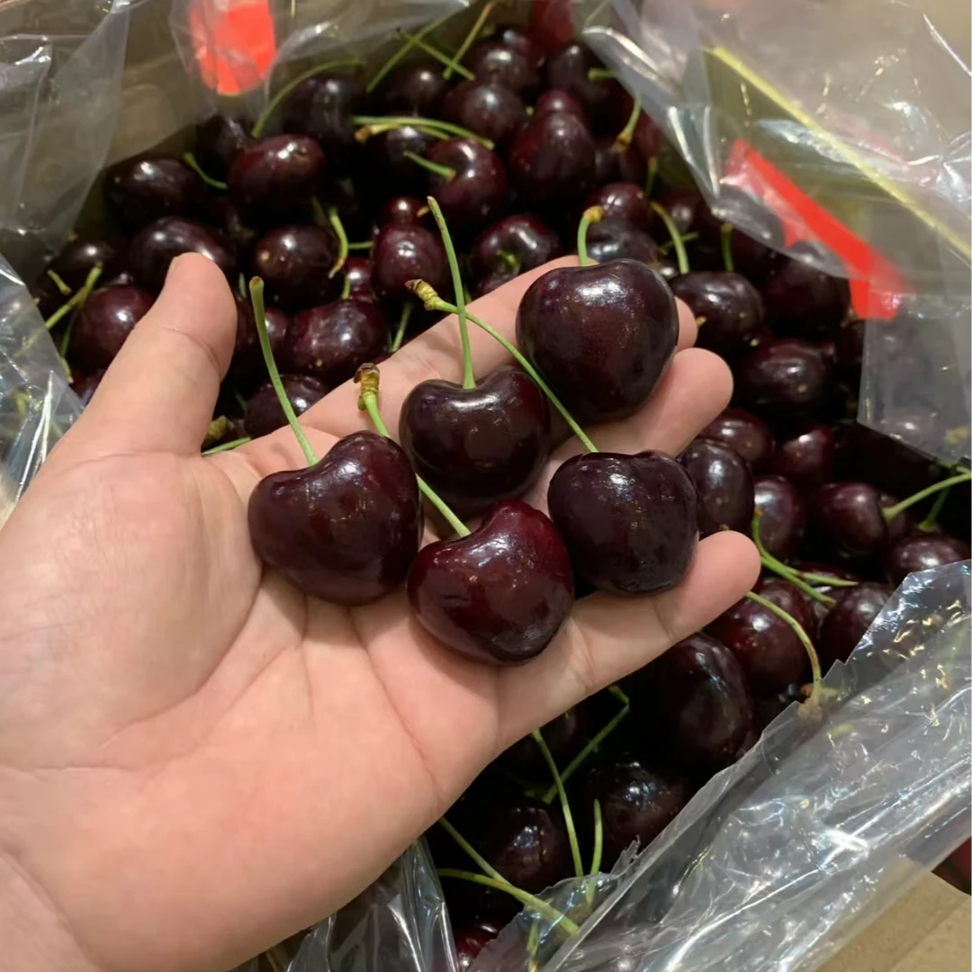 智利4J车厘子（229/件5斤）