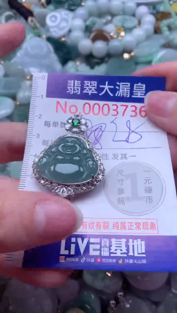 翡翠未镶嵌吊坠(不含链)3736