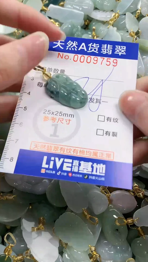 颈饰未镶嵌翡翠纯天然a货翡翠