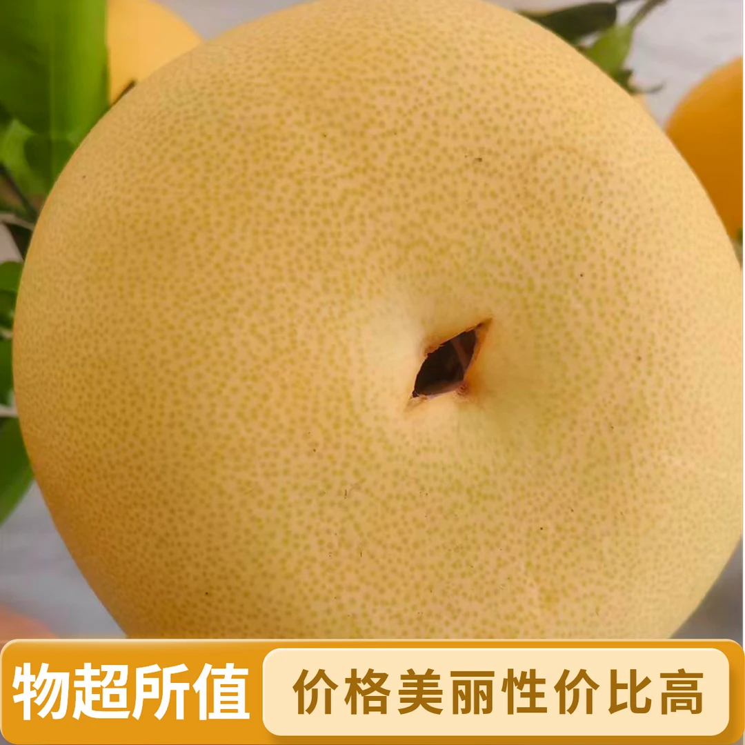 玉环直达正宗玉环文旦柚30年老树裂果开口笑果园直发不影响食用