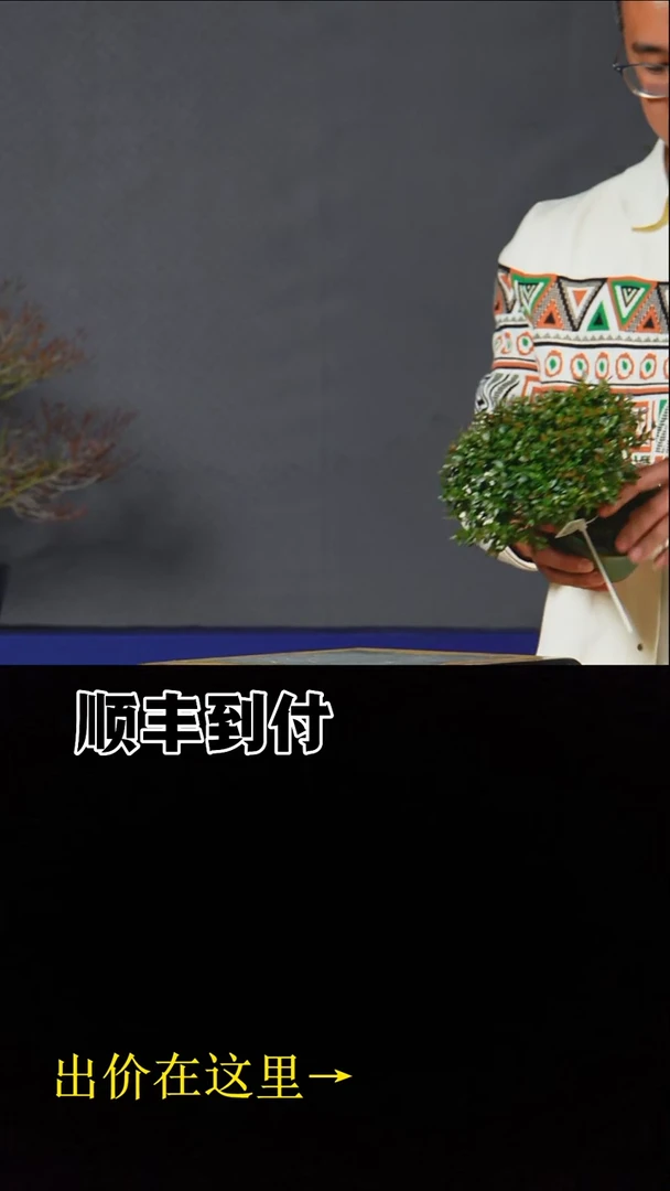 以实际为准c467缩缅葛bubaoyou