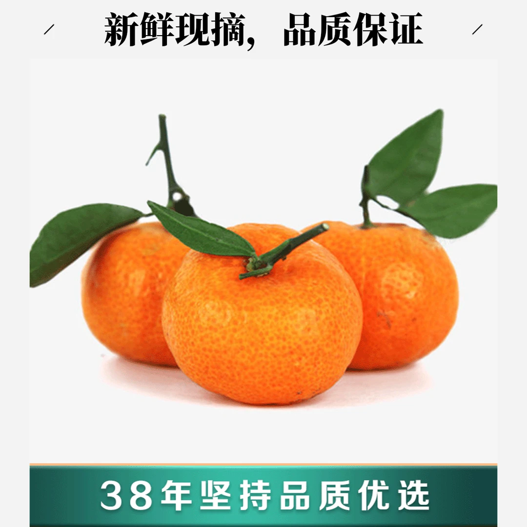 [今日特惠] 广西砂糖桔2斤装呼市同城配送闪送到家