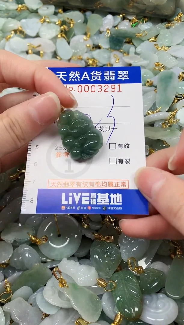颈饰未镶嵌翡翠纯天然a货翡翠