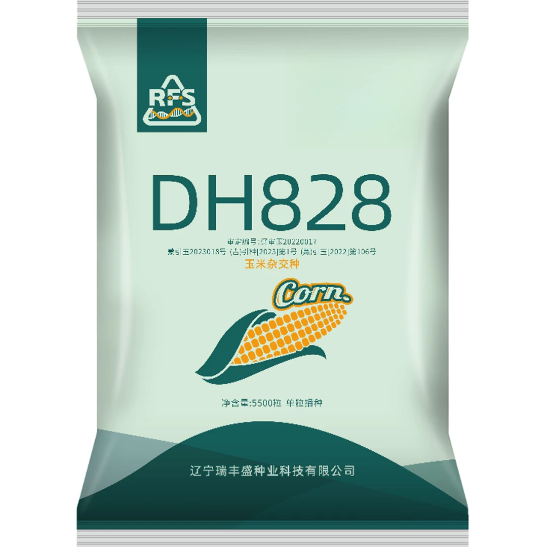 DH828 高产综合抗性强能稀能密玉米种
