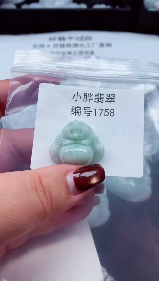 颈饰未镶嵌翡翠缅甸天然A货翡翠1758