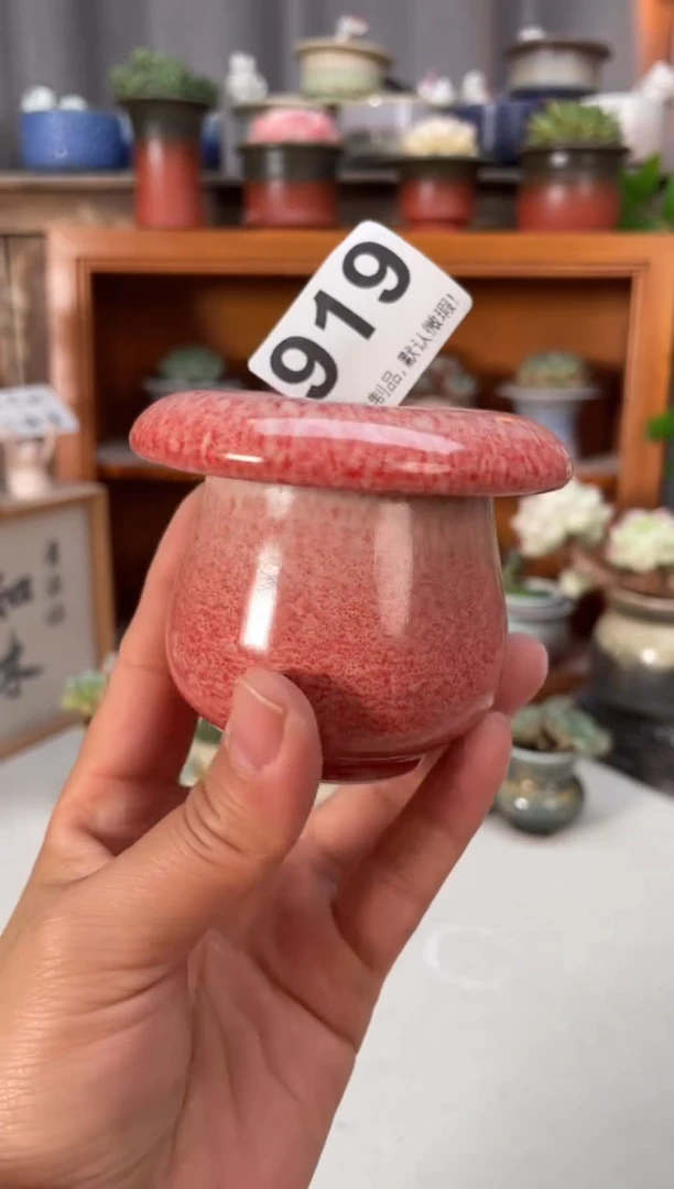 瓷片919小芳直播编号