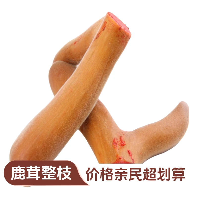 鹿茸整枝整根鹿乡鲜鹿茸（直播间改价链接）