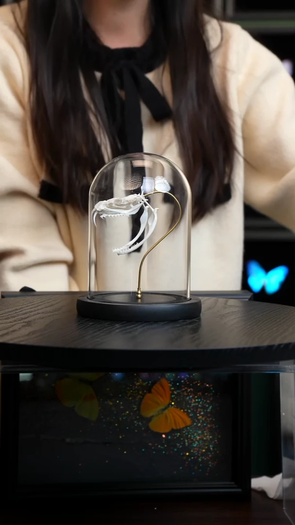 蛇骨标本摆件玻璃罩