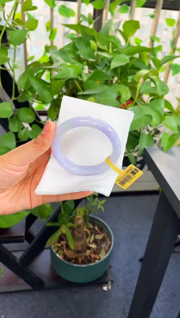 未镶嵌手镯翡翠113-58.3