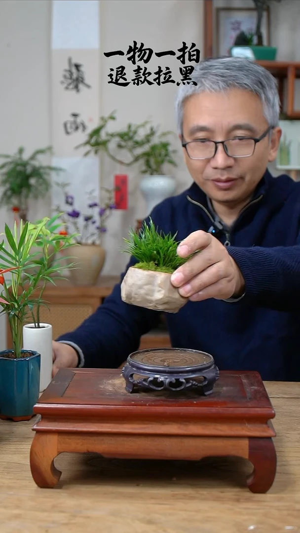 完全开放半*菖蒲225