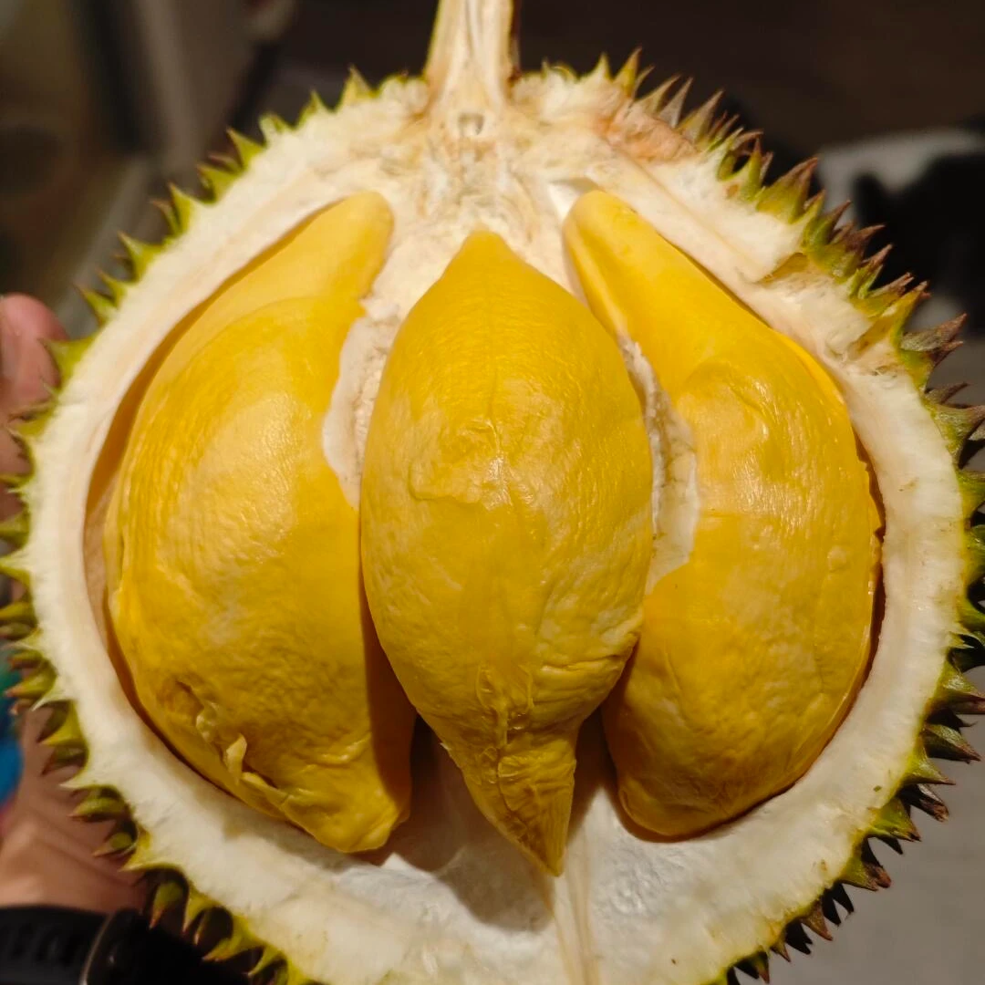 【外卖到家 默认开果】新鲜泰国软金月榴莲AA果核大 一物一拍（3-8斤）软金月泰国