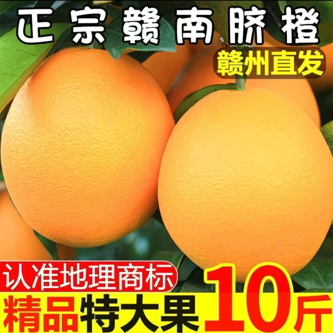 正宗赣南脐橙产地直发特大果