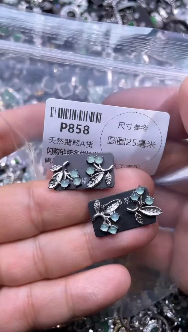 【闪购商品】翡翠颈饰未镶嵌P858耳钉 多样性发其一