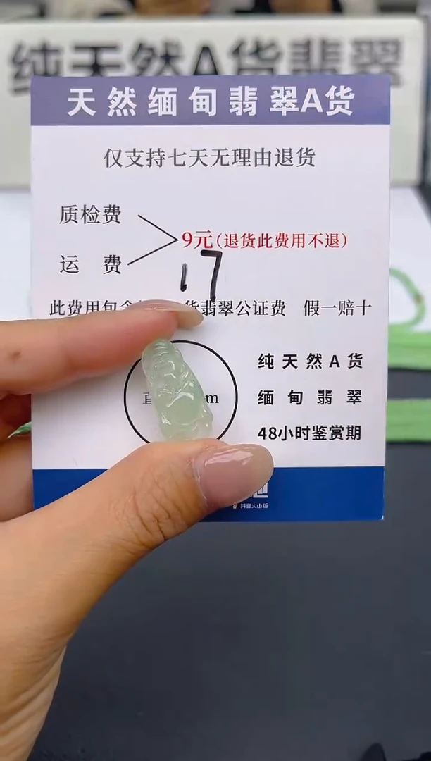 颈饰未镶嵌翡翠纯天然缅甸翡翠A货