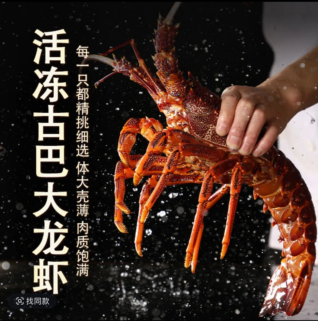 古巴龙虾海鲜冷冻送礼礼盒大龙虾