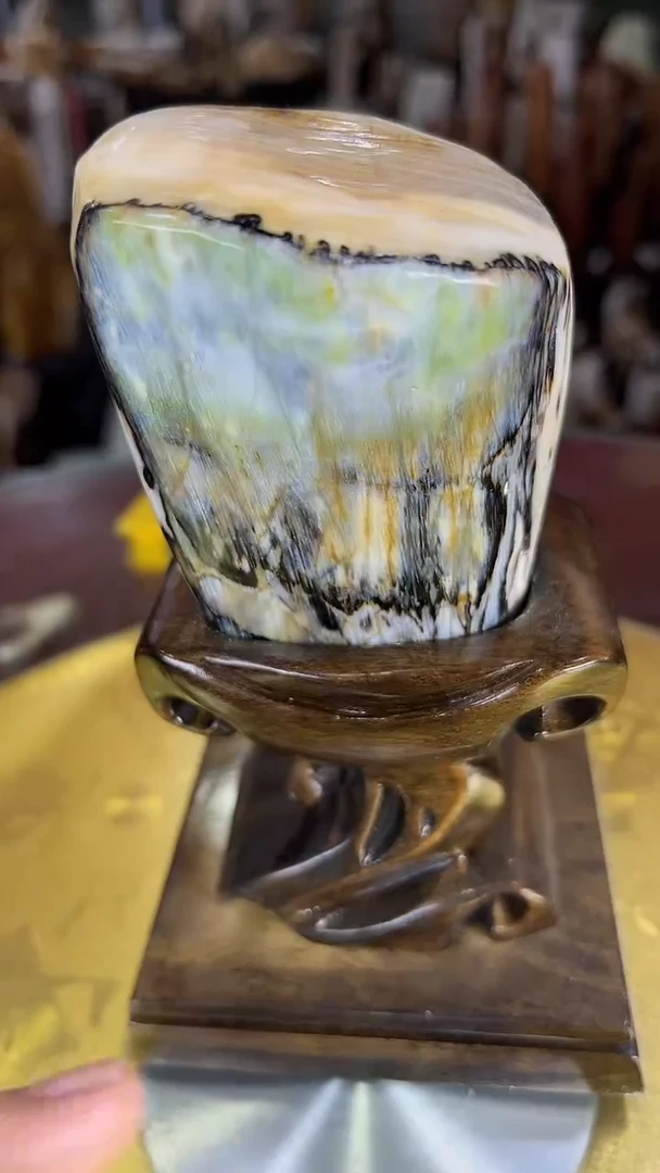 硅化玉珠宝奇石未镶嵌缅甸天然树化玉