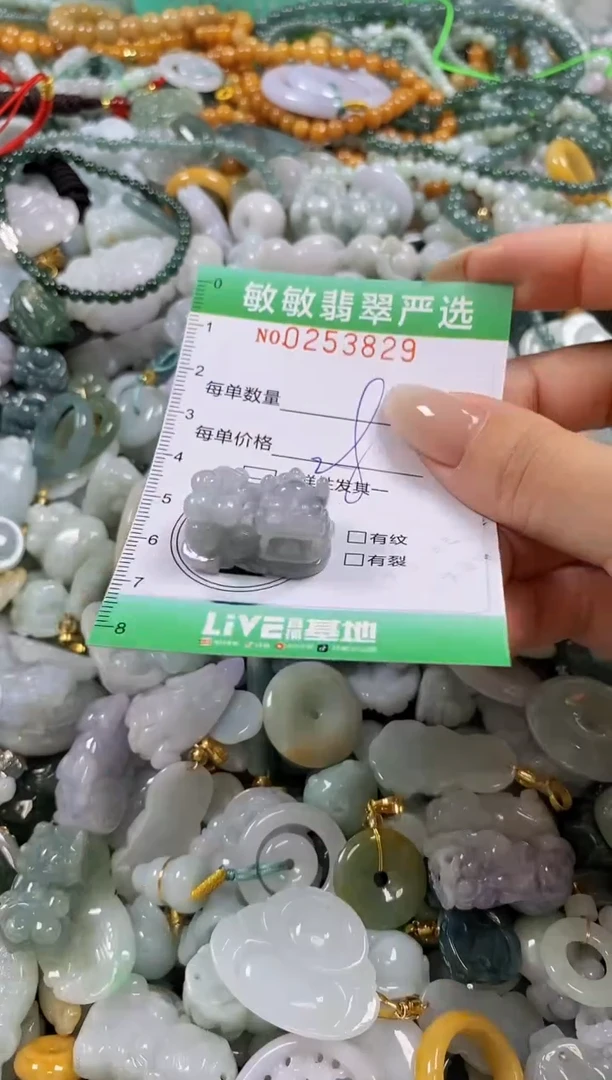 翡翠未镶嵌颈饰闪购0253829