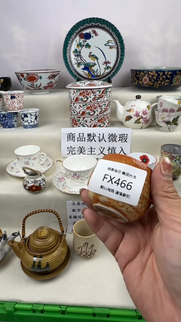 1FXFXFXFXFXFX466