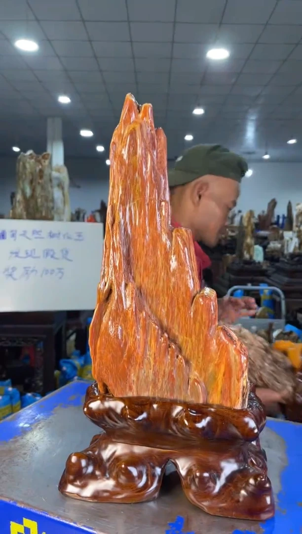 未镶嵌摆件硅化玉35